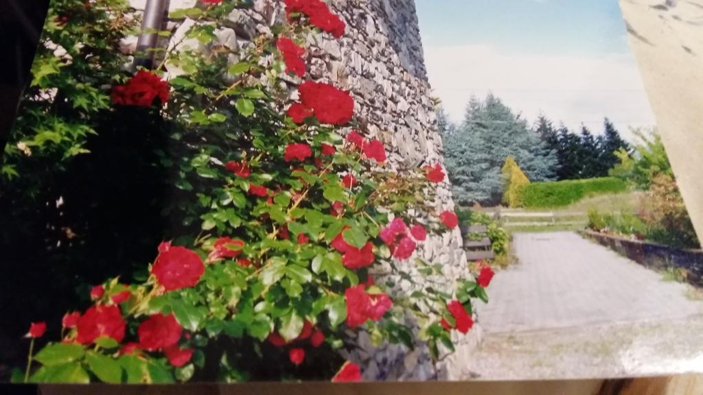 Вілла Casa San Martino Тельйо Екстер'єр фото